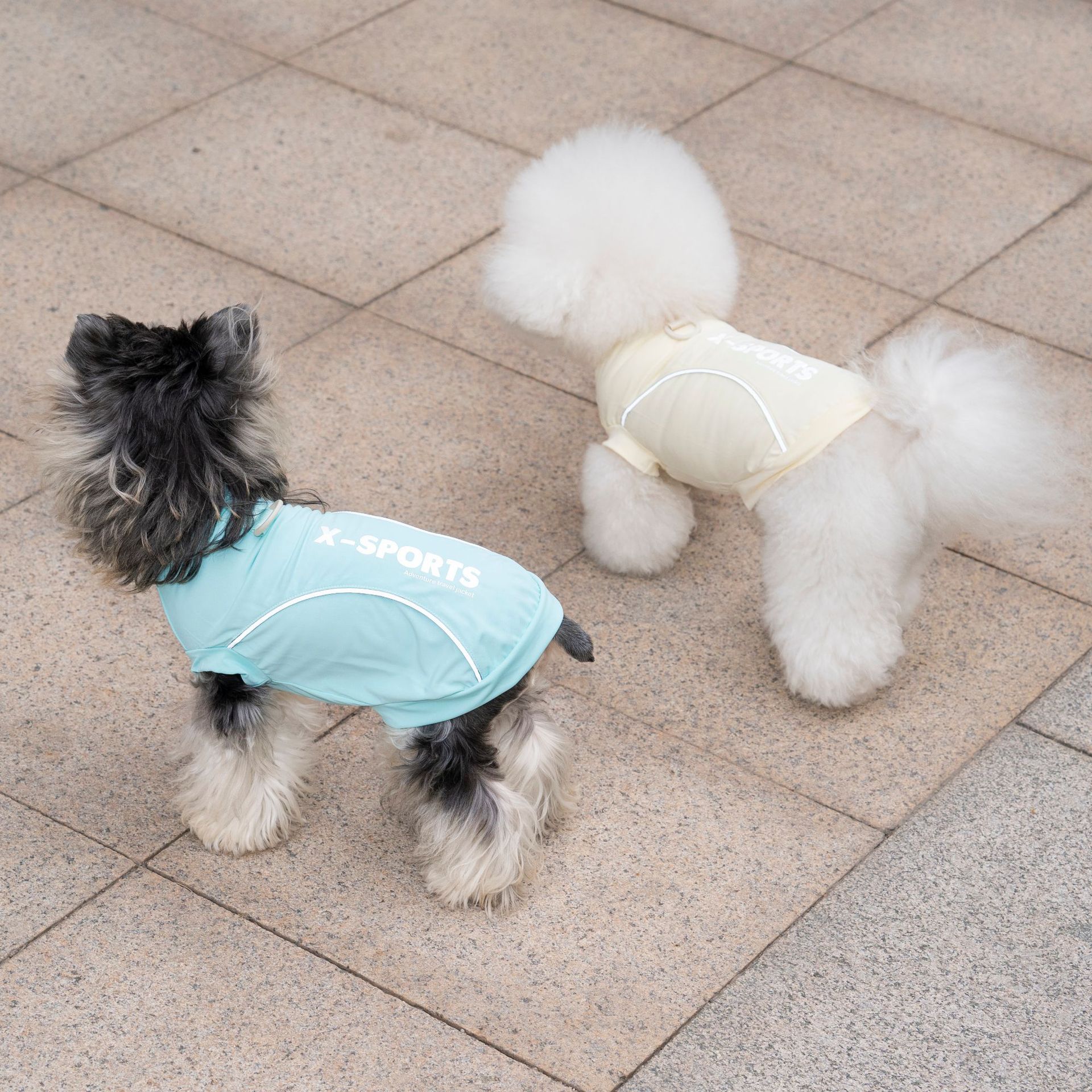 Pet Dog Clothing For Spring Su - Summer Clothing Cheap recension och pris